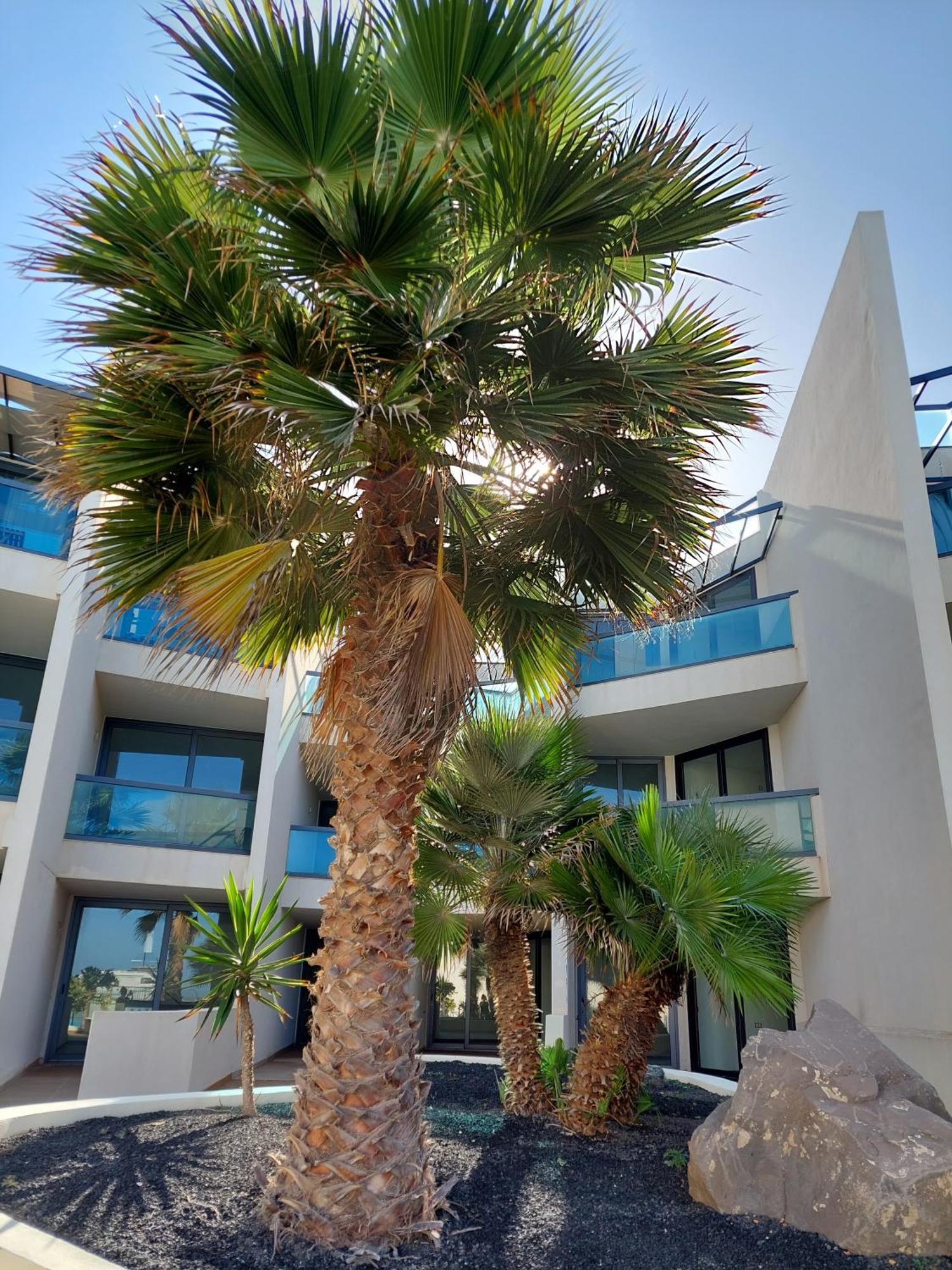 Sunset Spot Fuerteventura Cotillo Seaviews Premium Exteriör bild